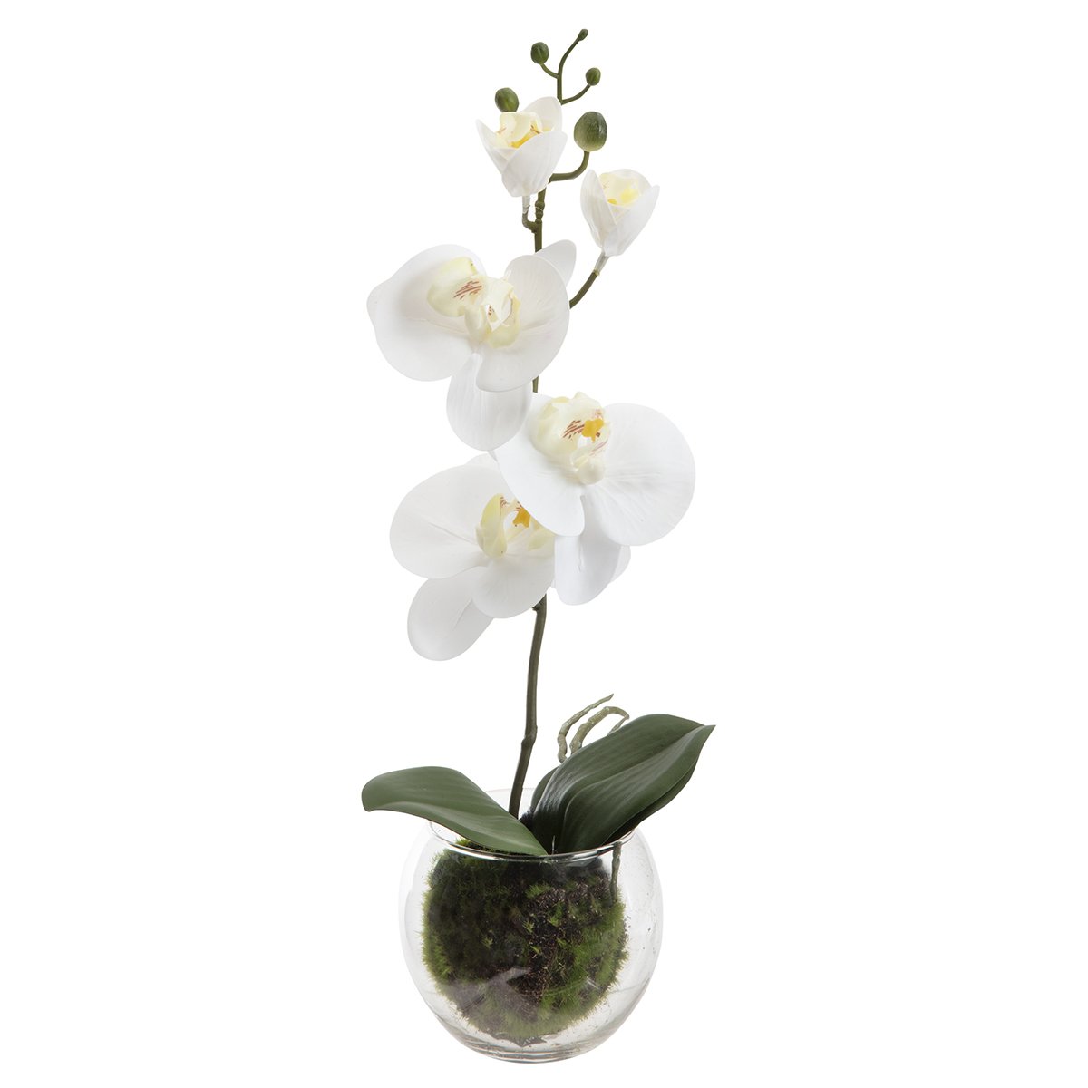 Orchidée artificielle blanche dans pot en verre H40cm 2641