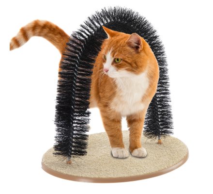 Arche De Toilettage Avec Grattoir Et Herbes A Chat 2793