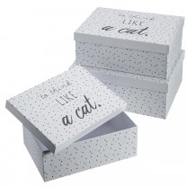 Lot de 3 boites de rangement déco avec motifs imprimés coloris blanc 3 tailles